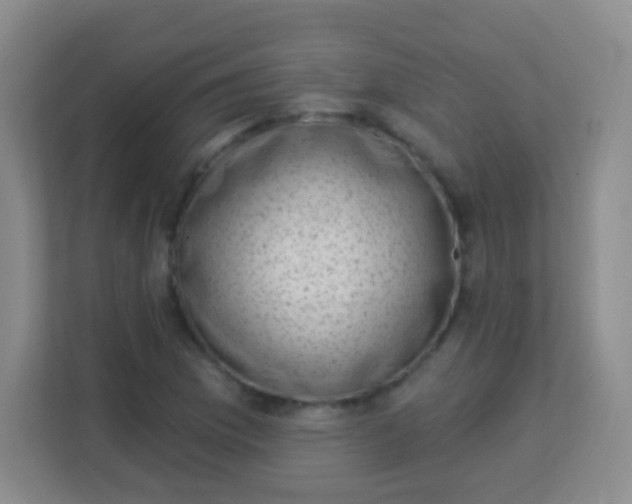 X0000113941169200910091617