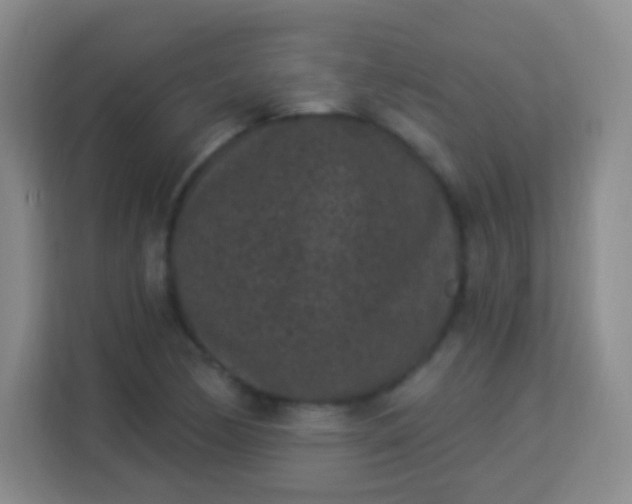 X0000113941170200910091617