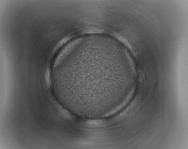 X0000113941171200910091617