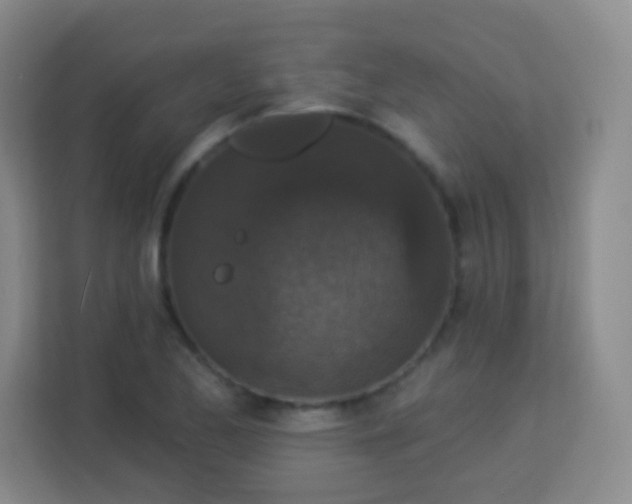 X0000113941173200910091617