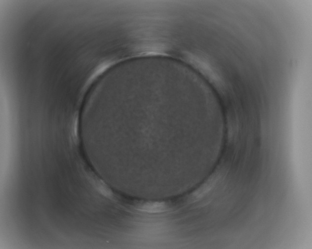 X0000113941174200910091617