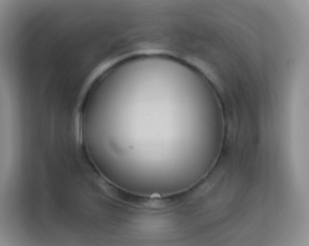 X0000113941175200910091617