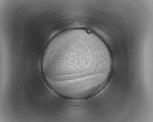 X0000113941177200910091617