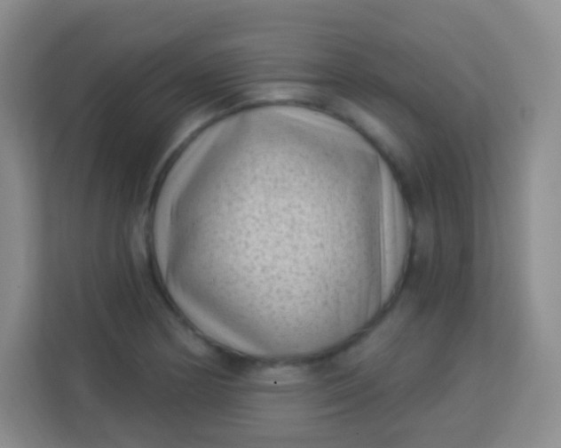 X0000113941178200910091617