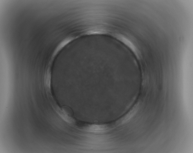 X0000113941179200910091617