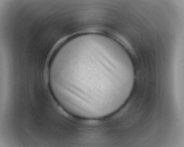 X0000113941180200910091617