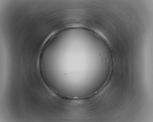 X0000113941181200910091617