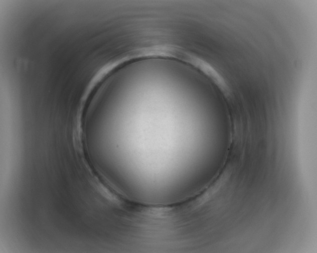 X0000113941184200910091616