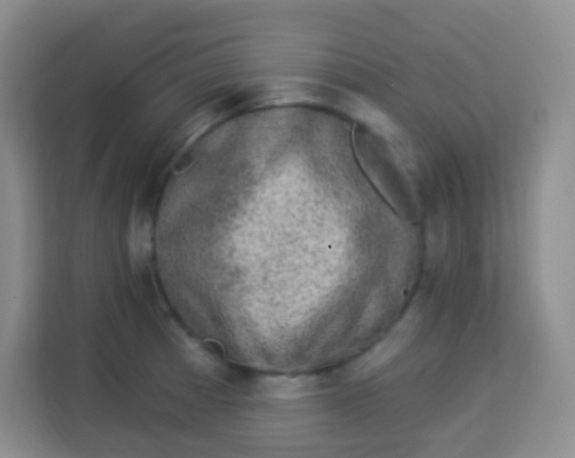 X0000113941185200910091616