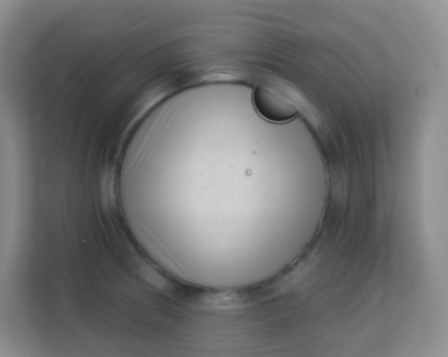 X0000113941186200910091616