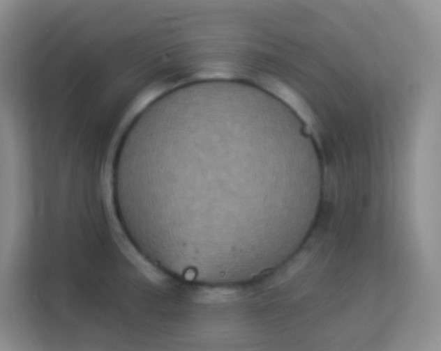 X0000113941187200910091616