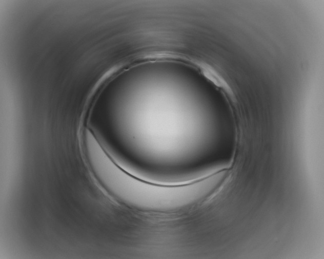 X0000113941189200910091616