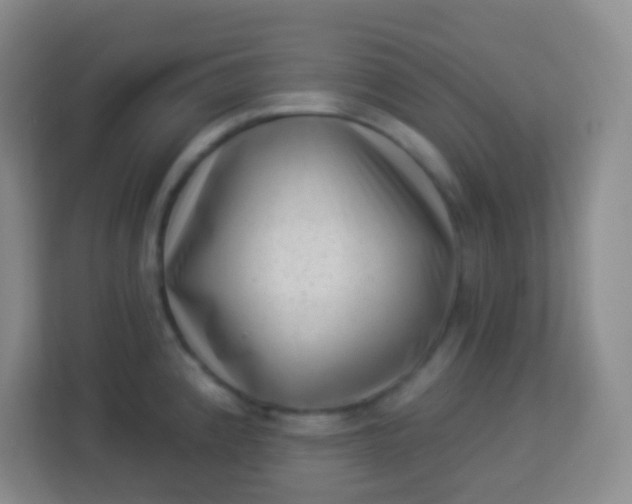 X0000113941192200910091616