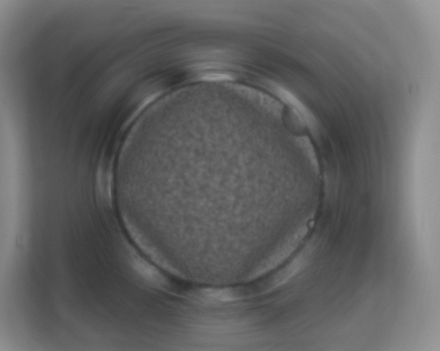 X0000113941194200910091616