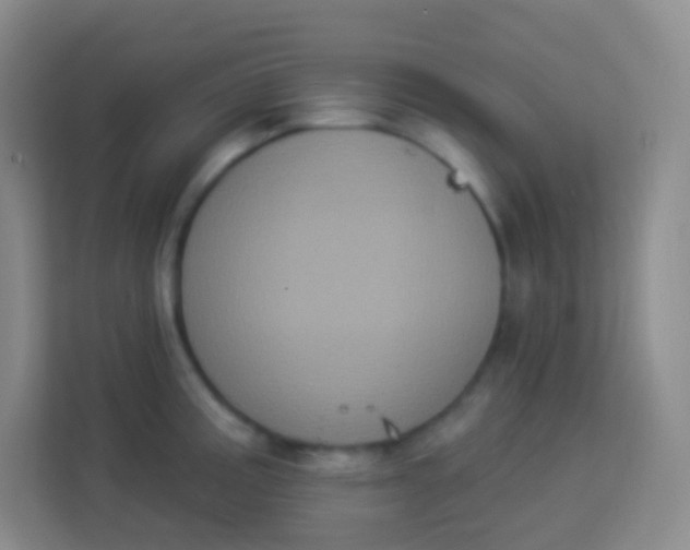 X0000113941195200910091616