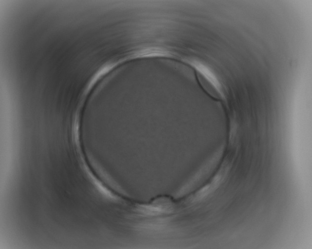 X0000113941197200910091616