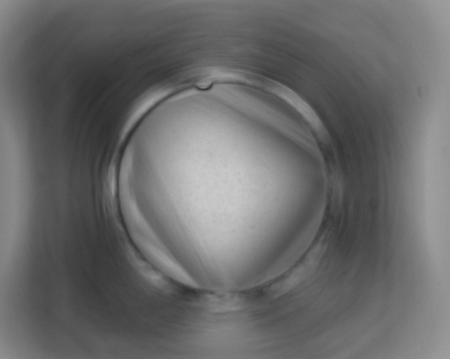 X0000113941198200910091616