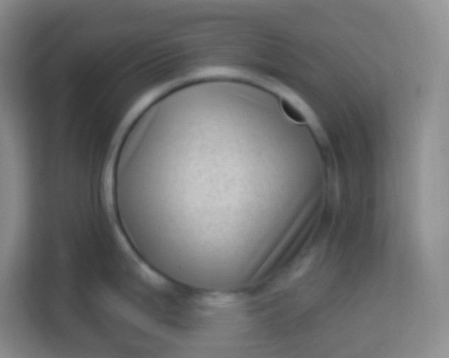 X0000113941199200910091616