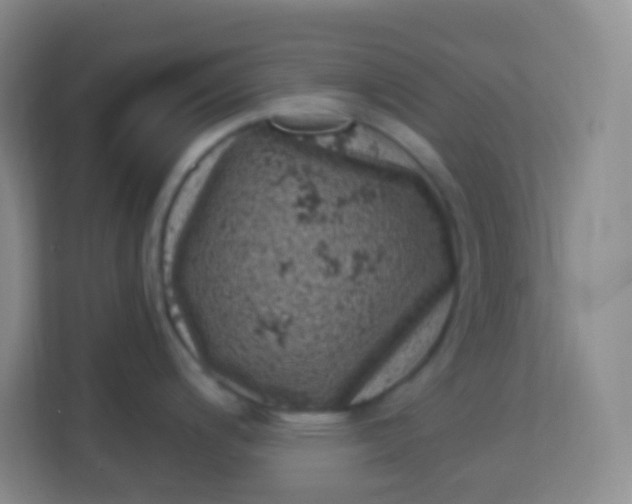 X0000113941200200910091616