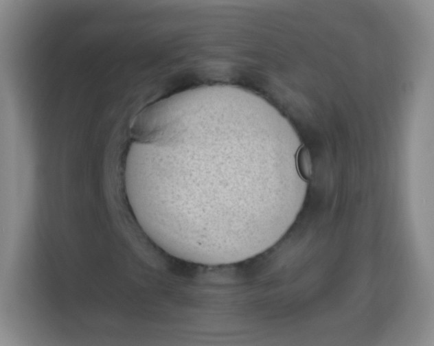 X0000113941201200910091616