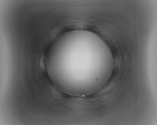 X0000113941202200910091616