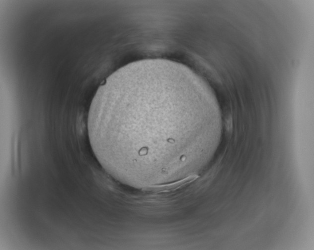 X0000113941204200910091616