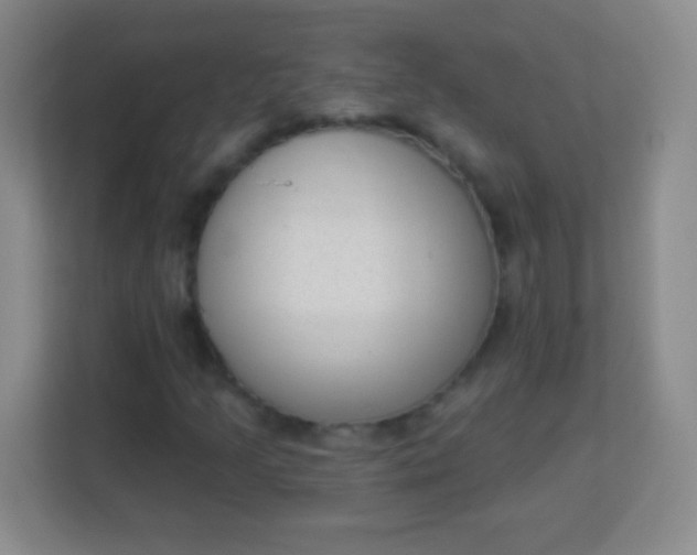 X0000113941205200910091616