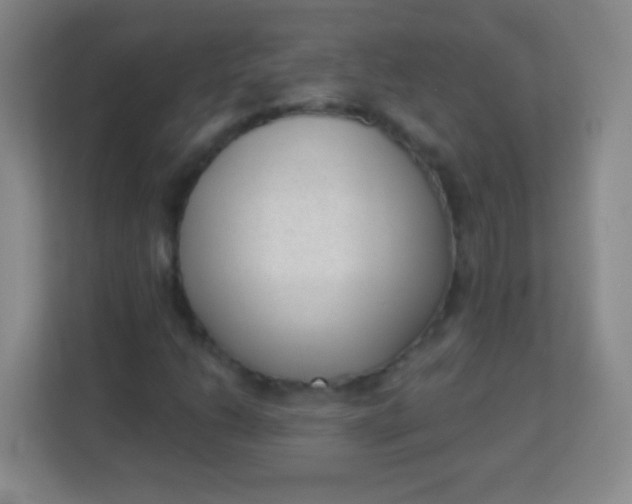 X0000113941206200910091616