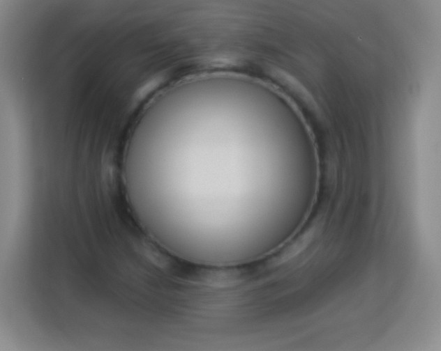 X0000113941210200910091616