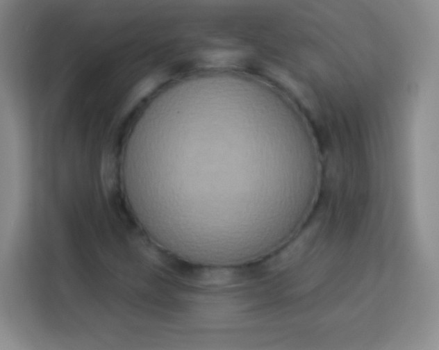 X0000113941211200910091616