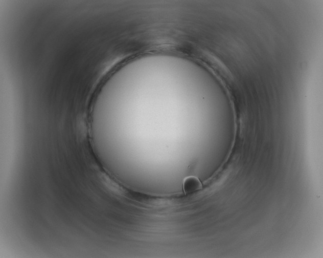 X0000113941212200910091616