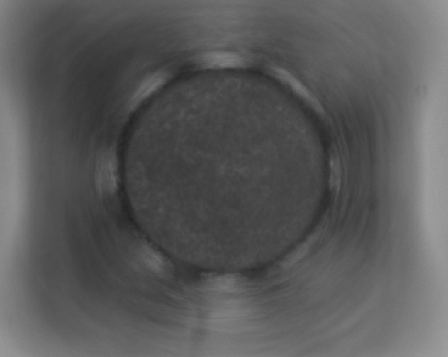 X0000113941213200910091616