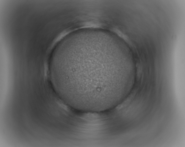 X0000113941215200910091616