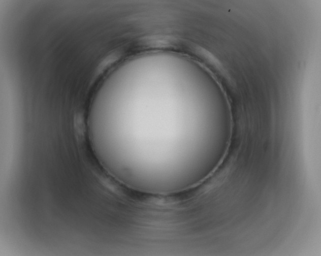 X0000113941218200910091616