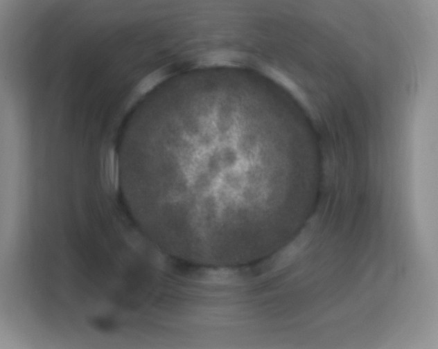 X0000113941219200910091616