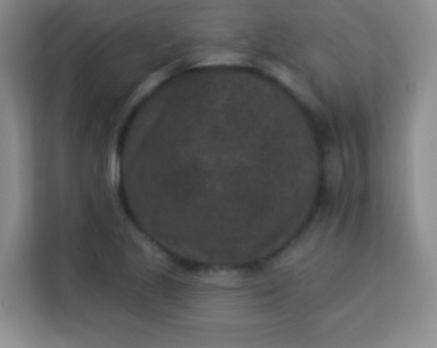 X0000113941221200910091616