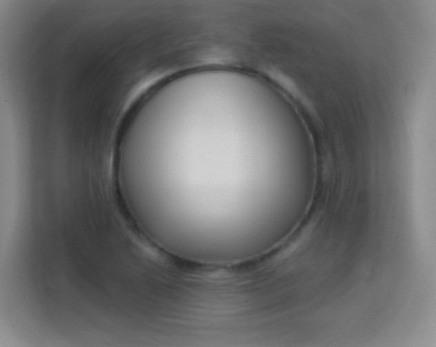 X0000113941222200910091616