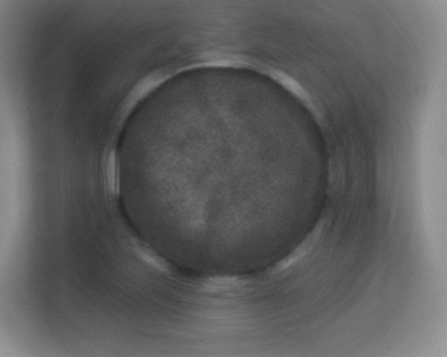 X0000113941223200910091616