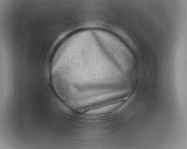 X0000113941224200910091616