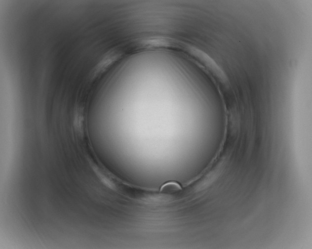 X0000113941225200910091616