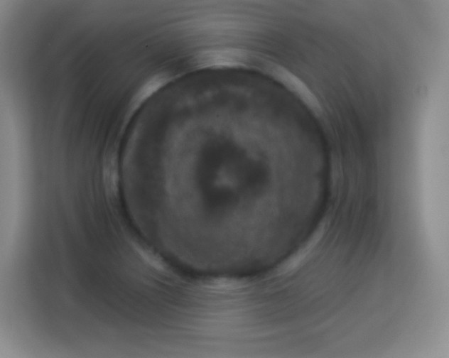 X0000113941226200910091616