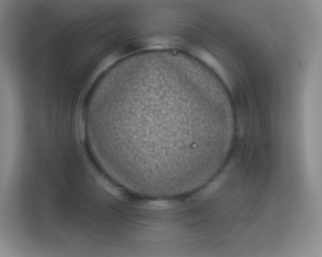 X0000113941227200910091616