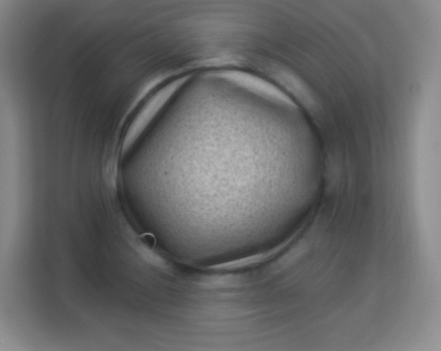 X0000113941228200910091616