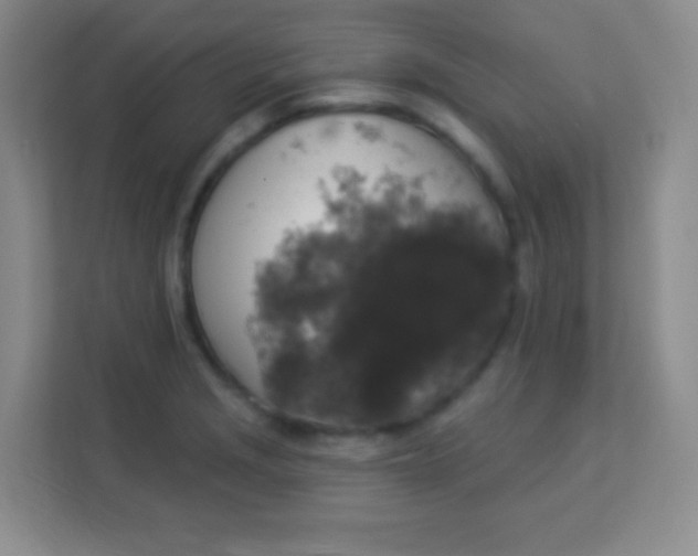 X0000113941229200910091616