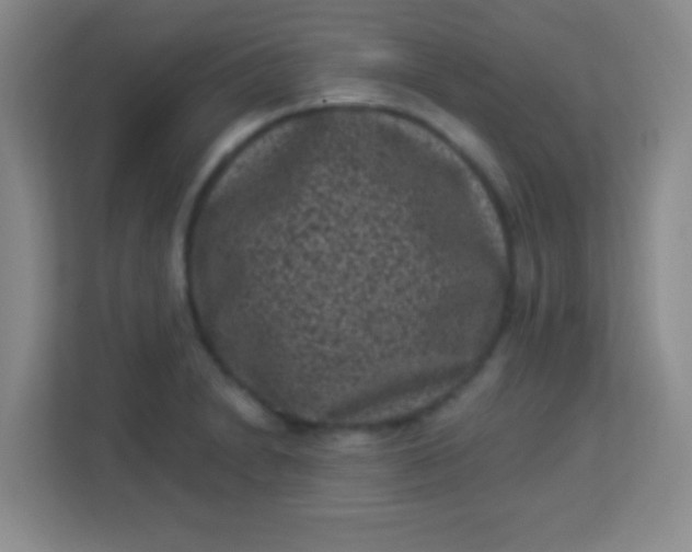 X0000113941230200910091616