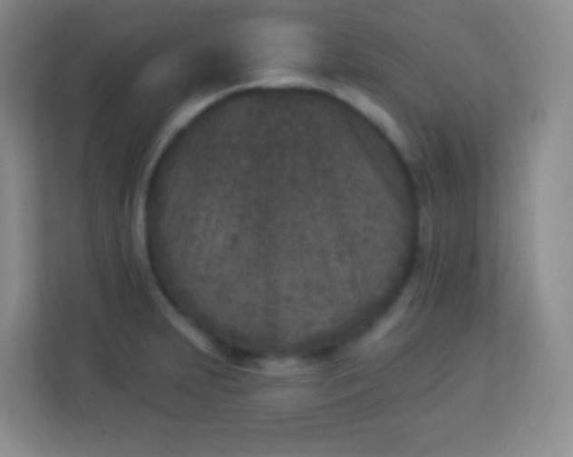 X0000113941231200910091616