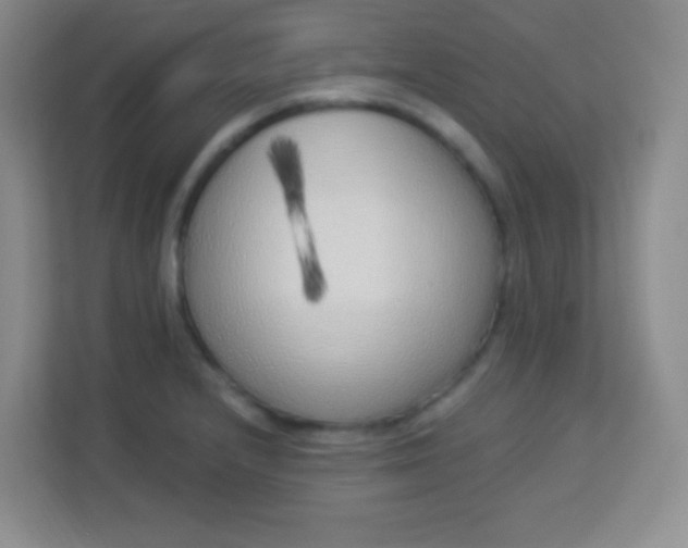 X0000113941232200910091616