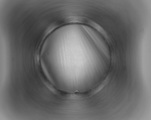 X0000113941234200910091616