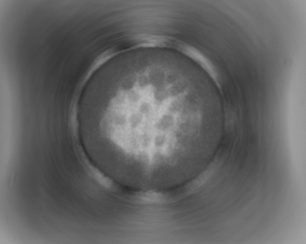 X0000113941235200910091616