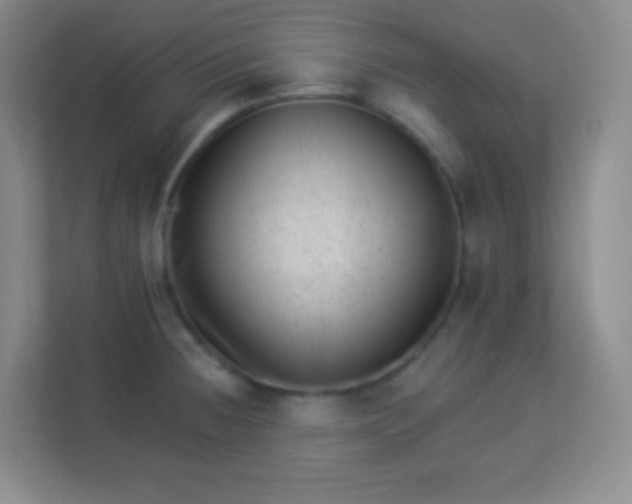 X0000113941236200910091616